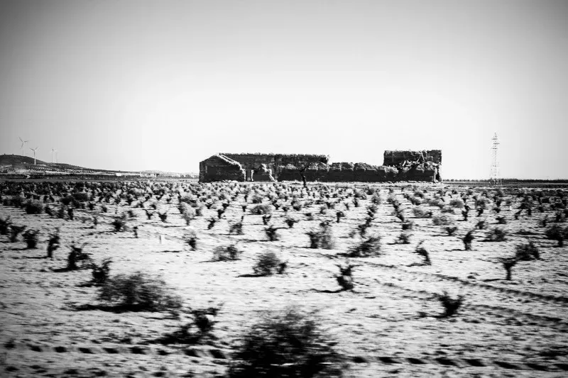 71802674281 Media 05