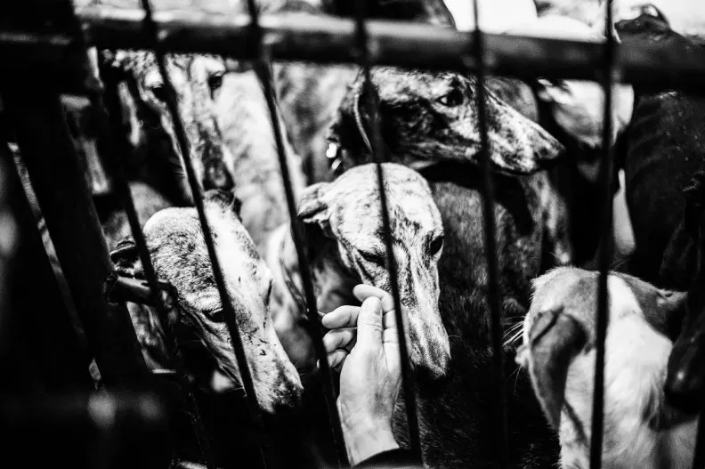 71802674281 Media 07