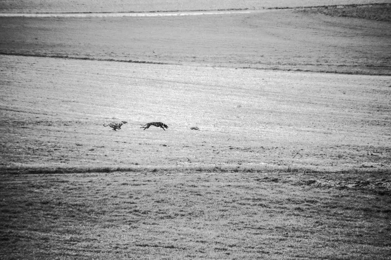 71802674281 Media 08