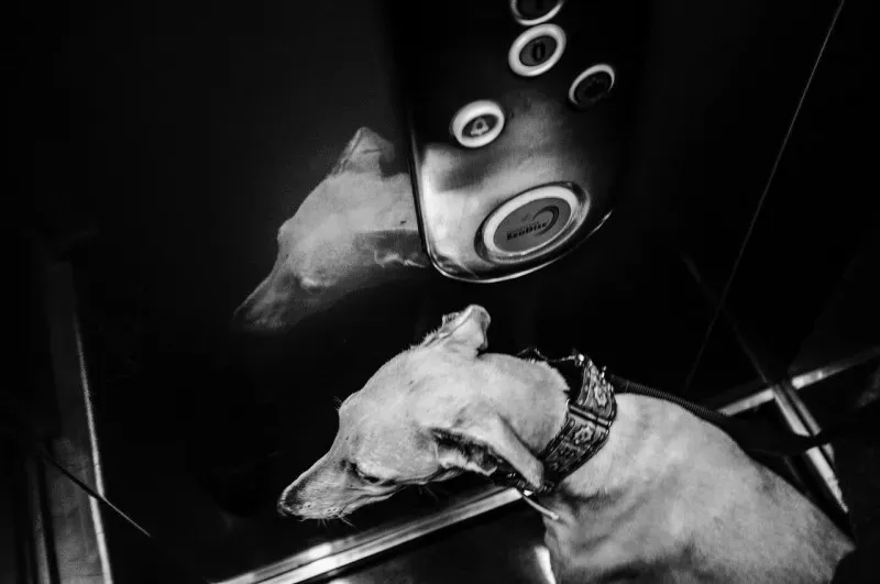 71802674281 Media 10