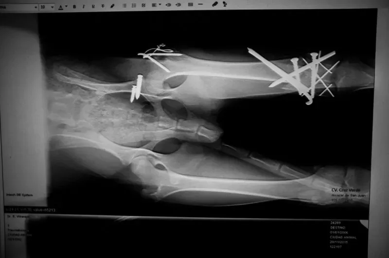 71802674281 Media 14