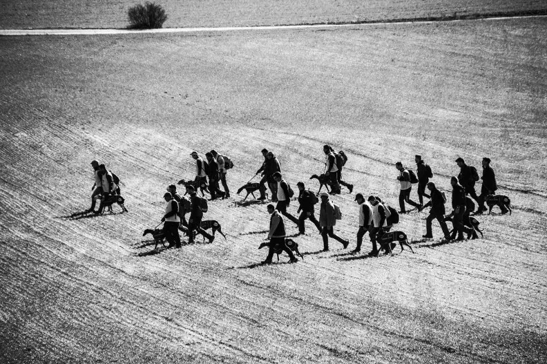 71802674281 Media 16