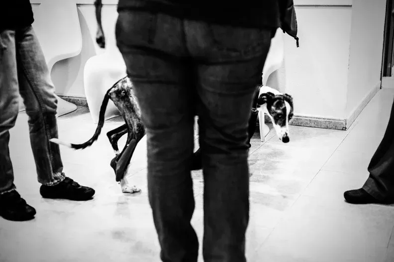 71802674281 Media 17