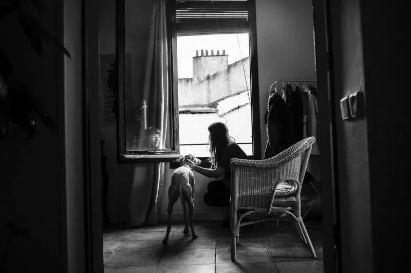 71802674281 Media 18