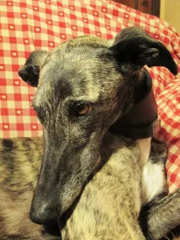 726ccdc0 c89e 49ee ba33 f13780a2268e