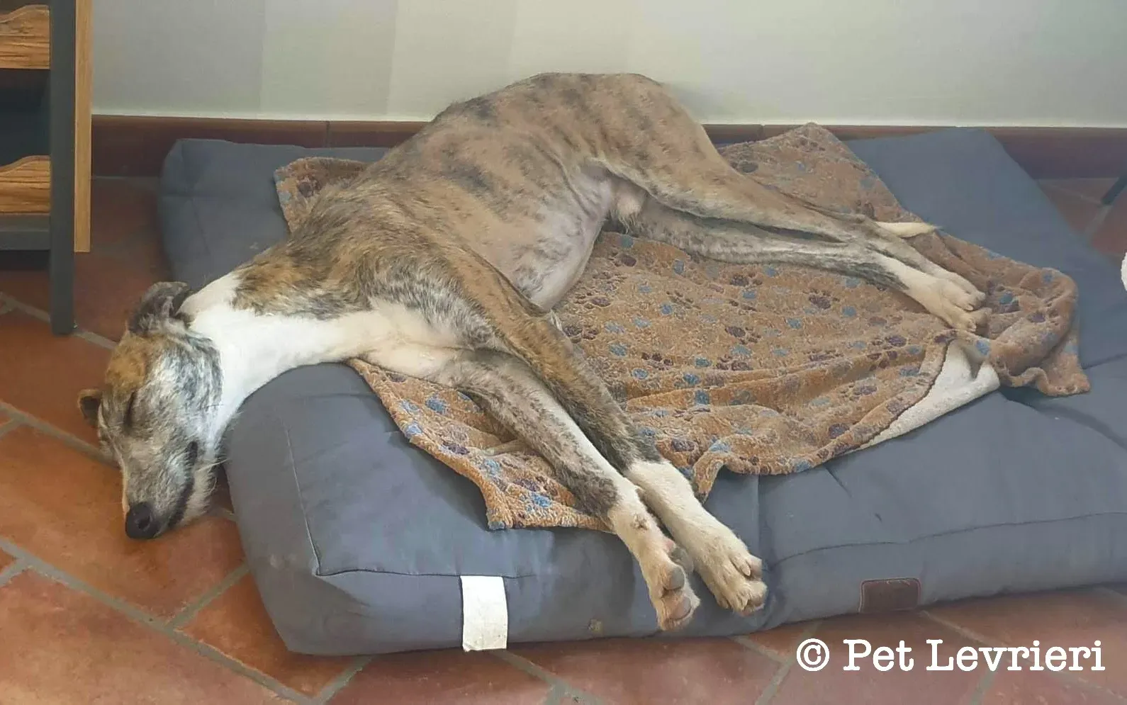 7307F499 8E03 4320 B5C5 3183A58FFF54