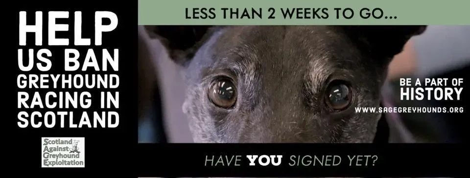 73170994 531422897618017 394736339502759936 n