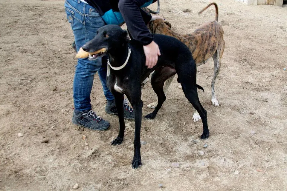 734488 552253108191882 1081314748 n