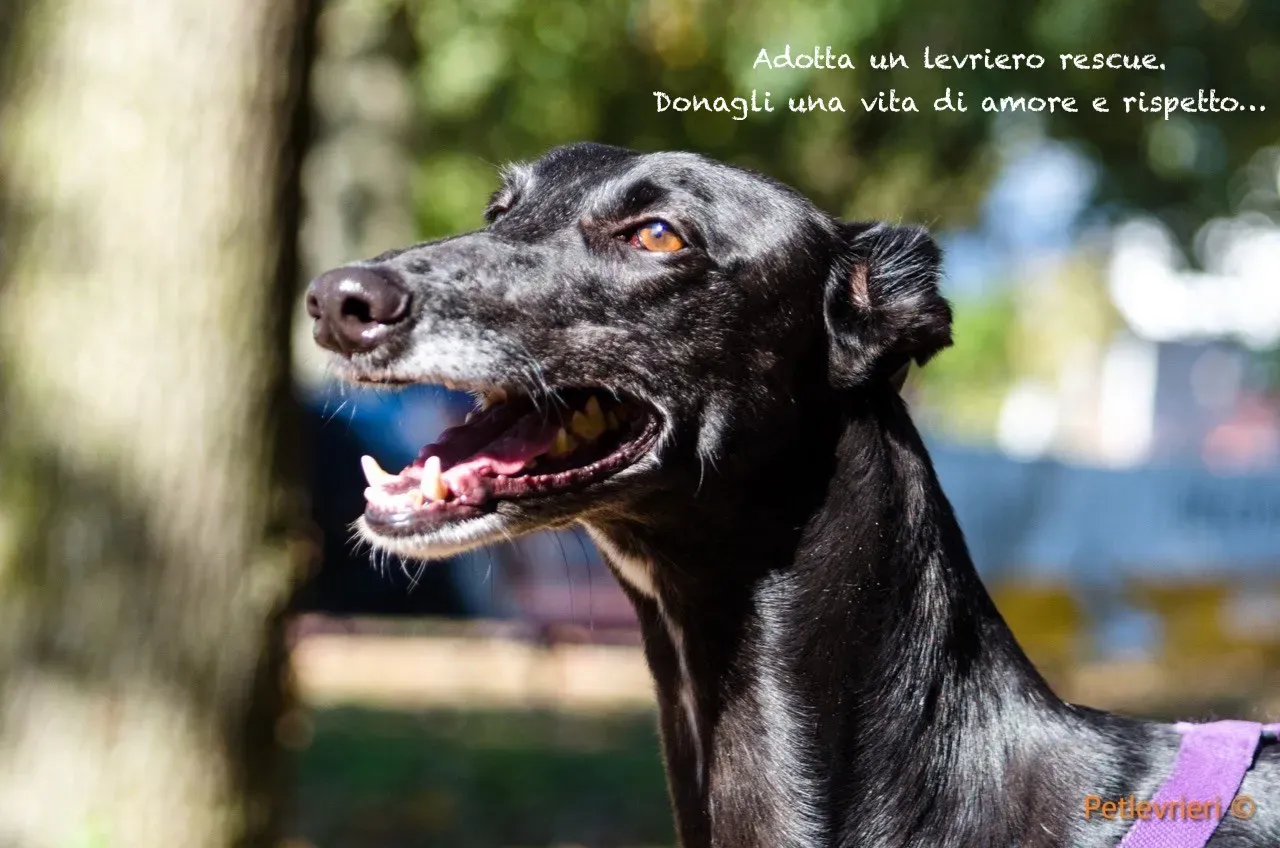 73472554 2555925737824599 8308672314954743808 o 2