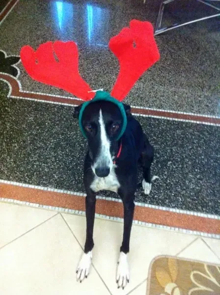 734739 1223446207682401 8303961582910760595 n