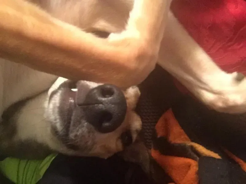 734979 10209180445252275 1947040995920868877 n