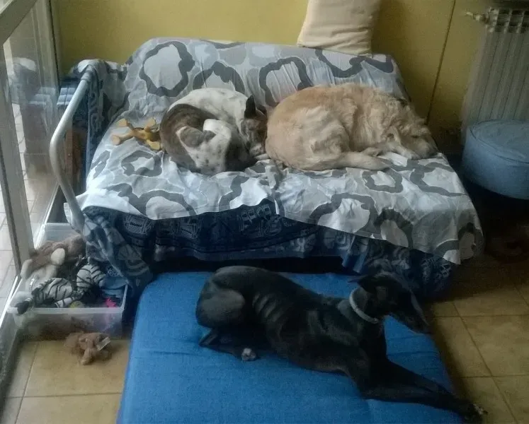 7473E4A4 80BF 41CF 98A6 7A7A23DD280B@bandablu