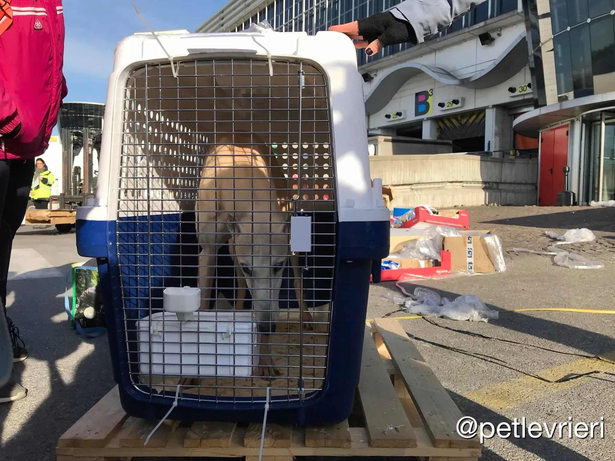 75021FEB 7BE2 4B93 A7AE 0C9F4BD54C72