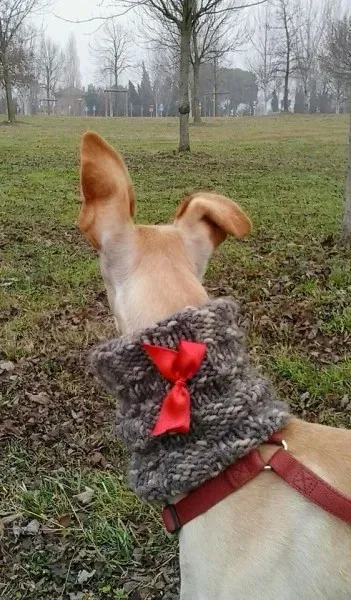 7503 1004827989555426 5944955559431142798 n