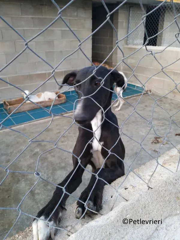 75199813 396761927935344 8558857290977902592 n