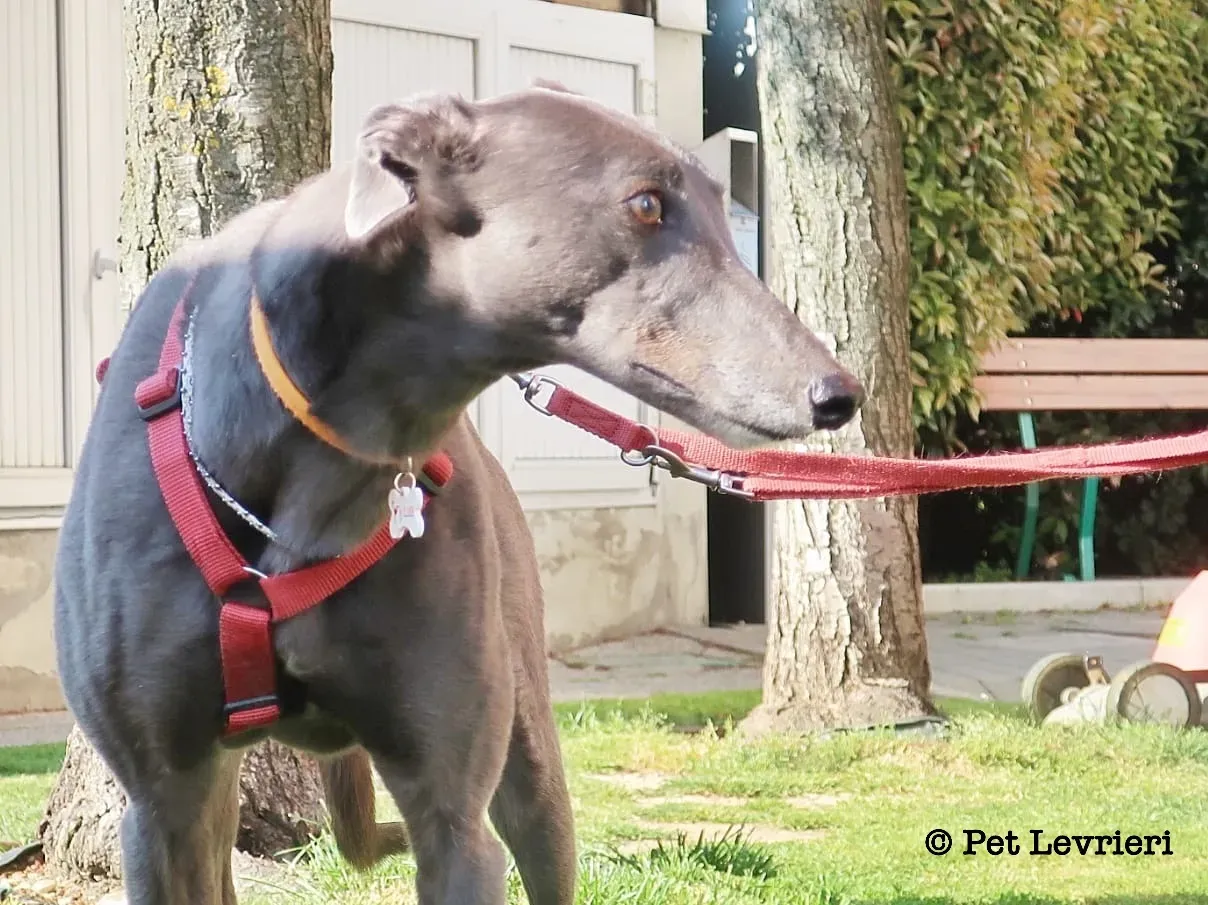 7534B05B 559C 4A31 B141 F9481FD155CC