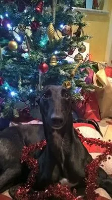 75541 1662667524001450 4826186553120381586 n