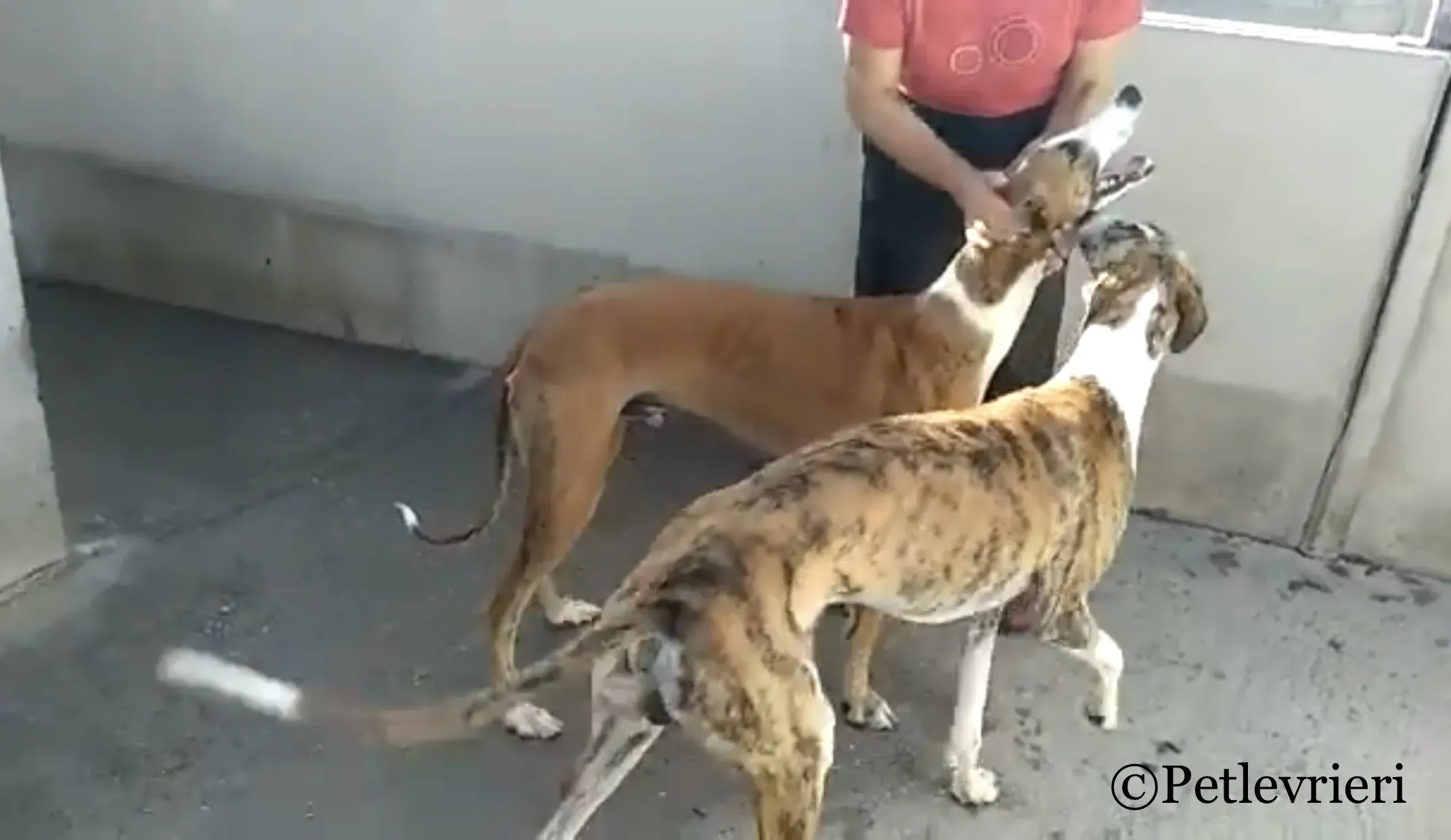 755CEA28 1D08 47B3 A279 52564CC7226C