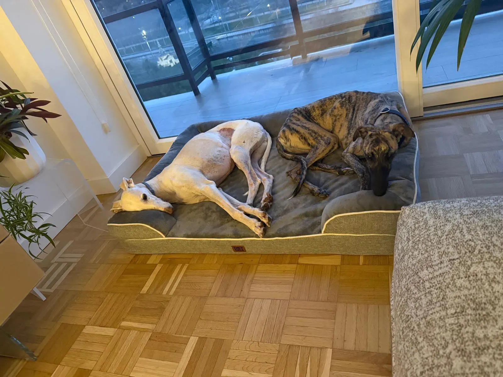 75fe6849 0090 41ed a4a5 414cdebf44d6