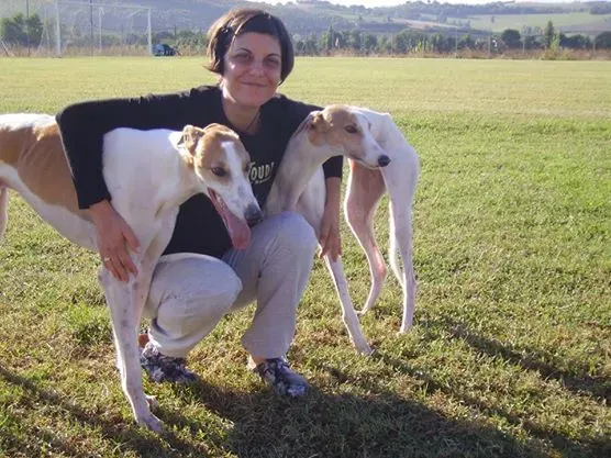 76076 4808578072586 1410234132 n