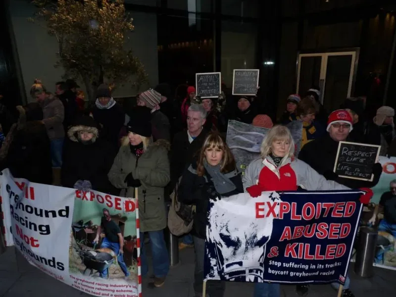 76247 550567841718022 237134779 n