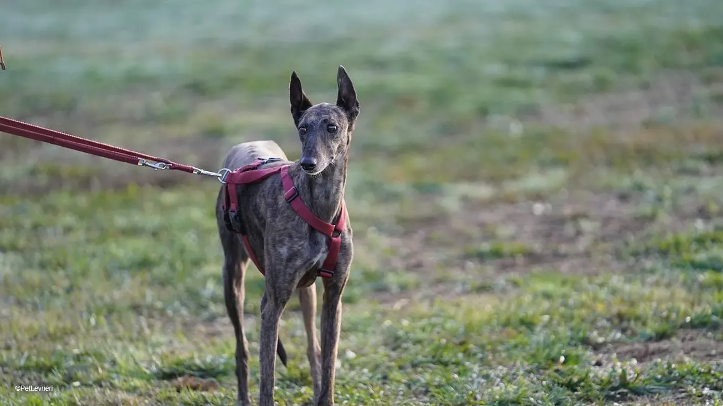 76655971 F192 4AD8 A14E 8364CCD43DCA