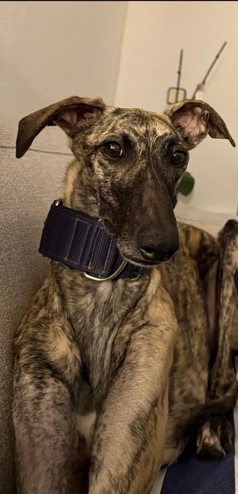 7666cf6f 93fc 40f6 9514 ab277d14cccc