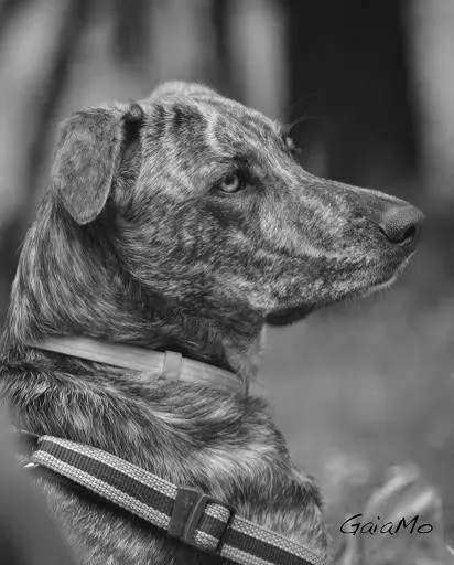 7684 10207707629601415 219456402398115580 n