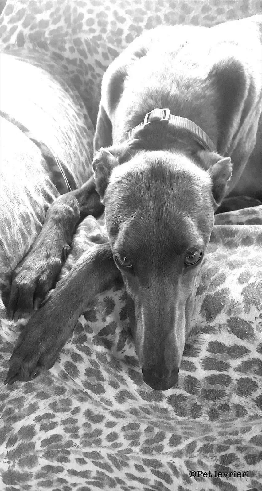 76AC5924 630C 4AEB A1E8 A96D425DB36C