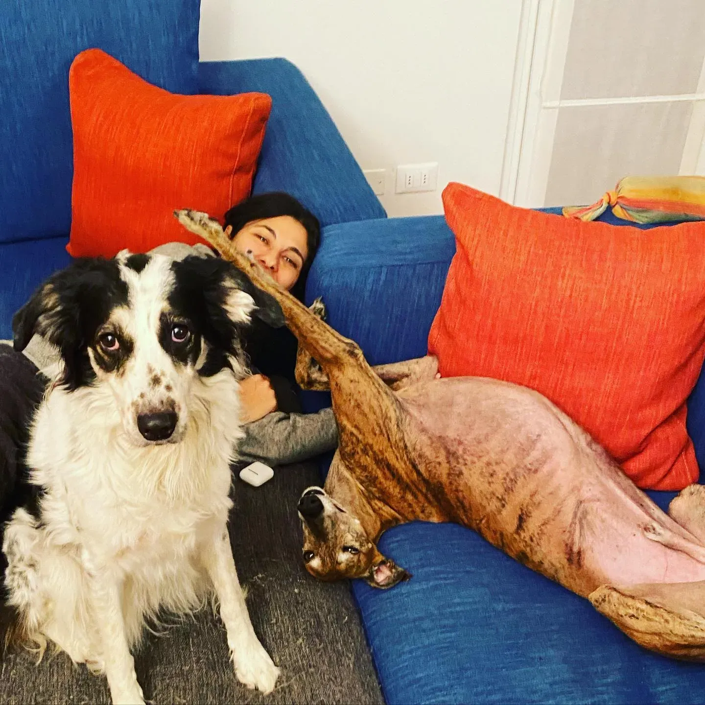 77308871 10156952114623246 6046048341869985792 o