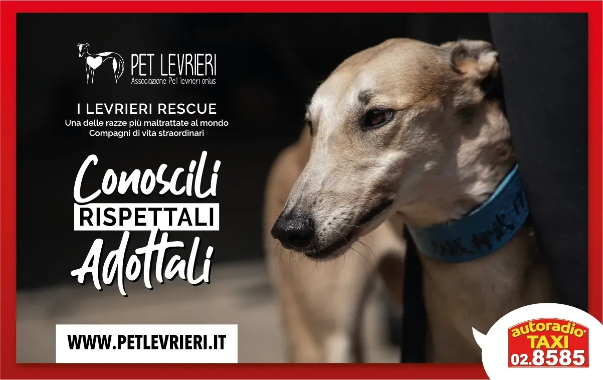 77383408 2666302196764485 7691785904532226048 o