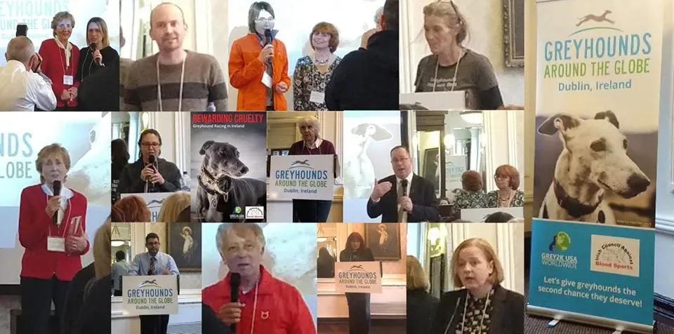 78166498 2567362753379267 8395855357880041472 o