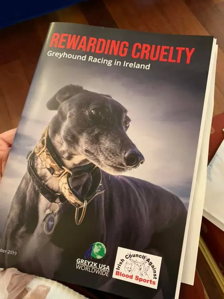 78600033 10220972806736780 8896751748362797056 n 1