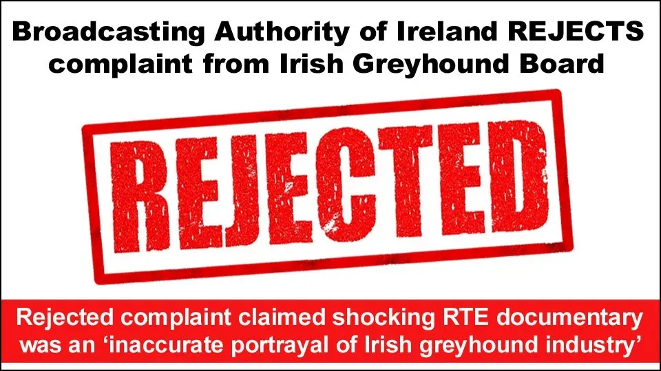 78790016 2592154710900071 7446366856148942848 n