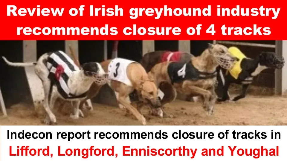 78992210 2578151098967099 5672124254242471936 n