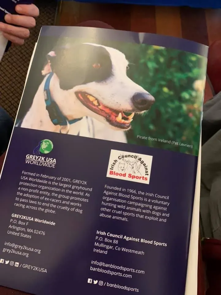 79182428 10220972807376796 4121208909367083008 n