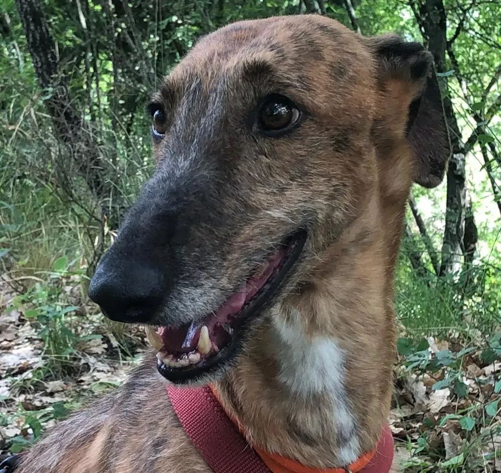 79487a21 8531 44a5 9942 cb6c100bdbda