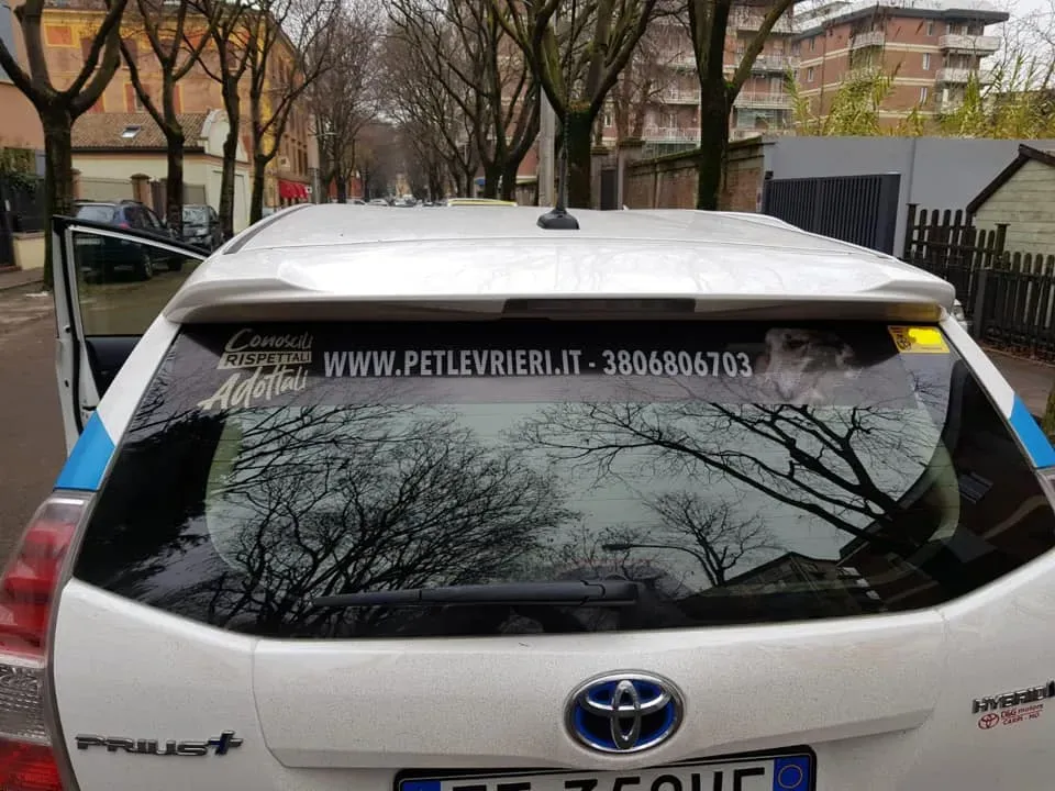 79540152 2670178283066010 3518270937814269952 n