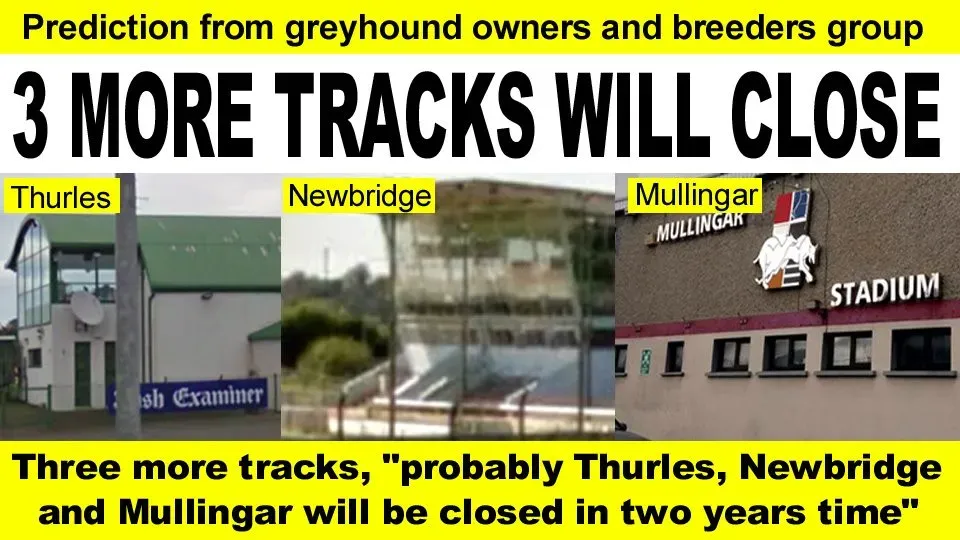 79626944 2580131325435743 5624749536606945280 n