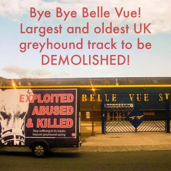 79757880 2902666149778178 4214259118136885248 n