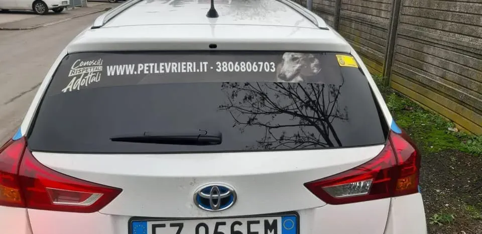 79849073 2670178256399346 3752338787066183680 n