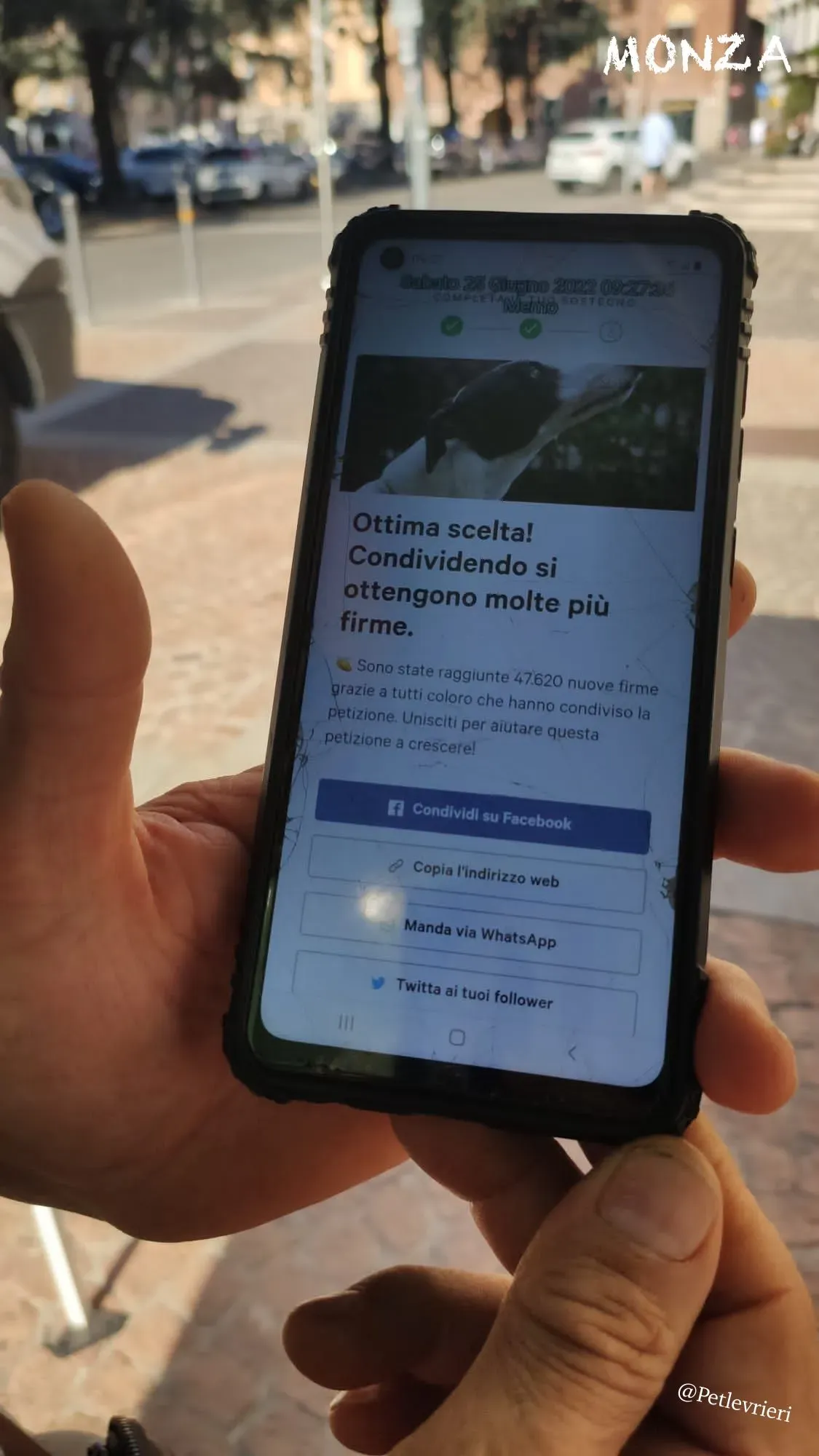 79d06d57 1309 444f a281 84bf27ca01b7 risultato