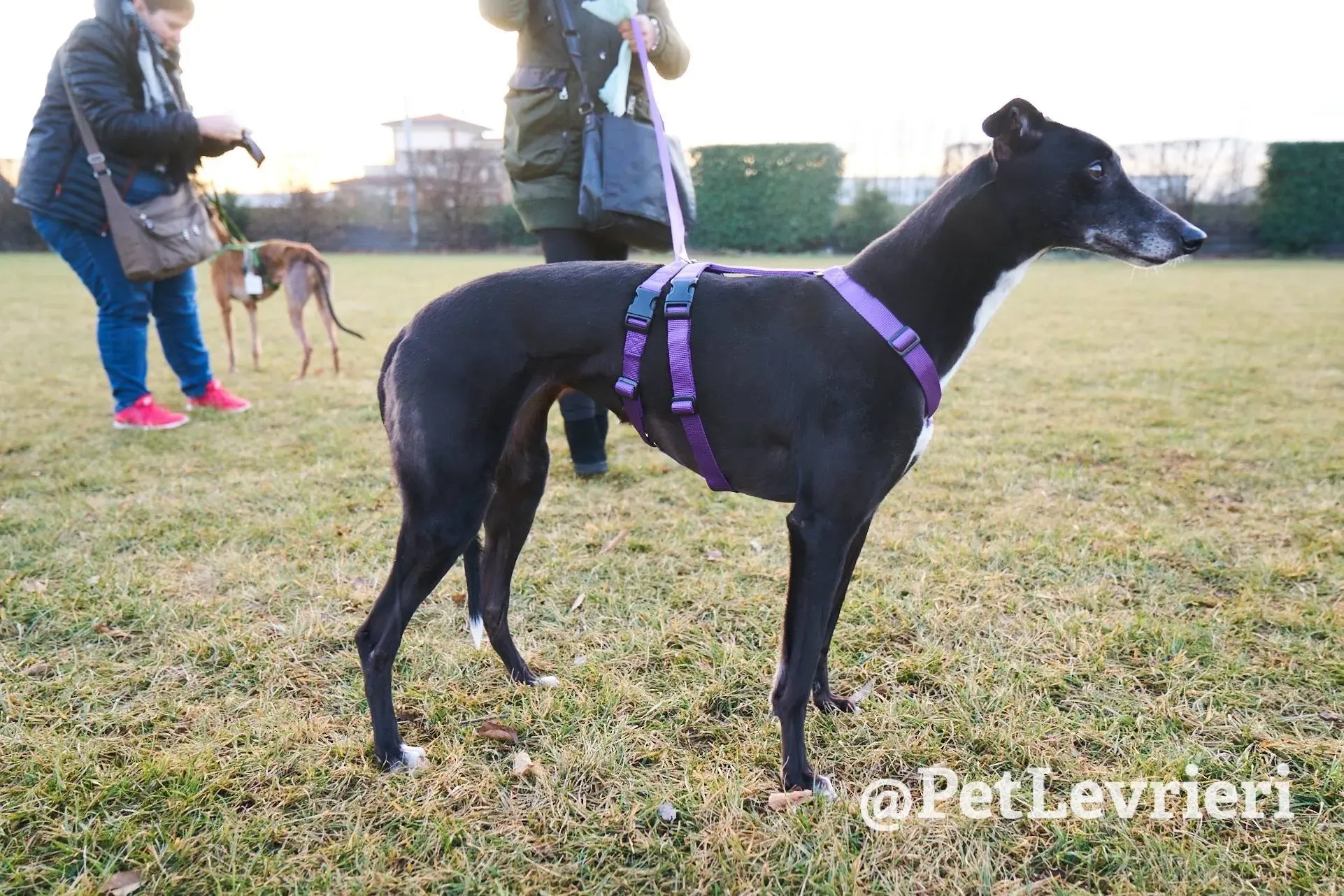 7C4D7583 0C1E 450A 937A 2886D48B0D39