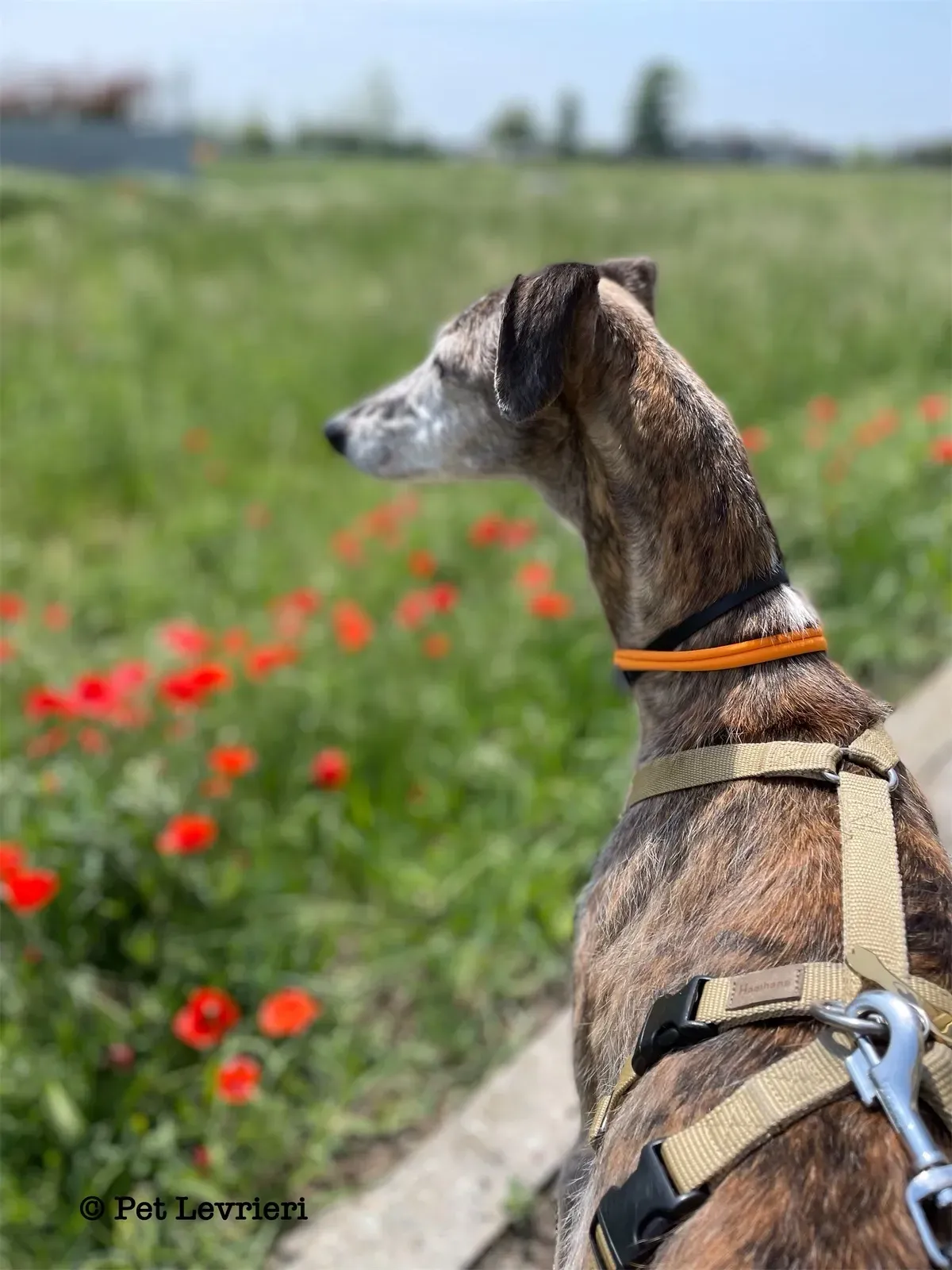 7C80D953 B3F2 4994 9769 BE285719BDA2