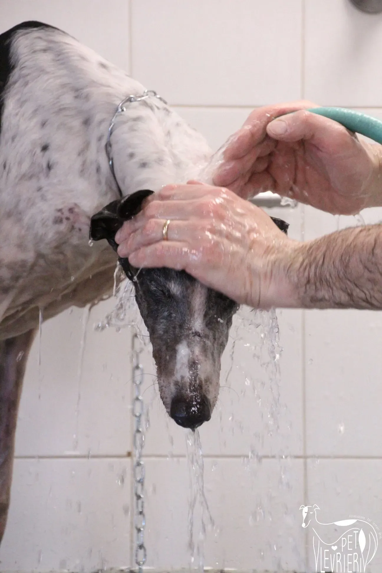 7D548532 173B 4D5C 8B3C 4180746C535D