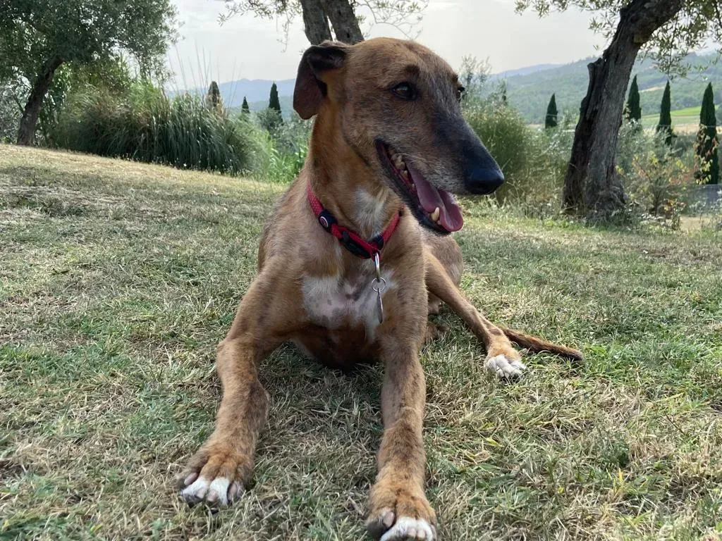 7bc8d83e f6f3 447f 82bc a7b672e5e30d