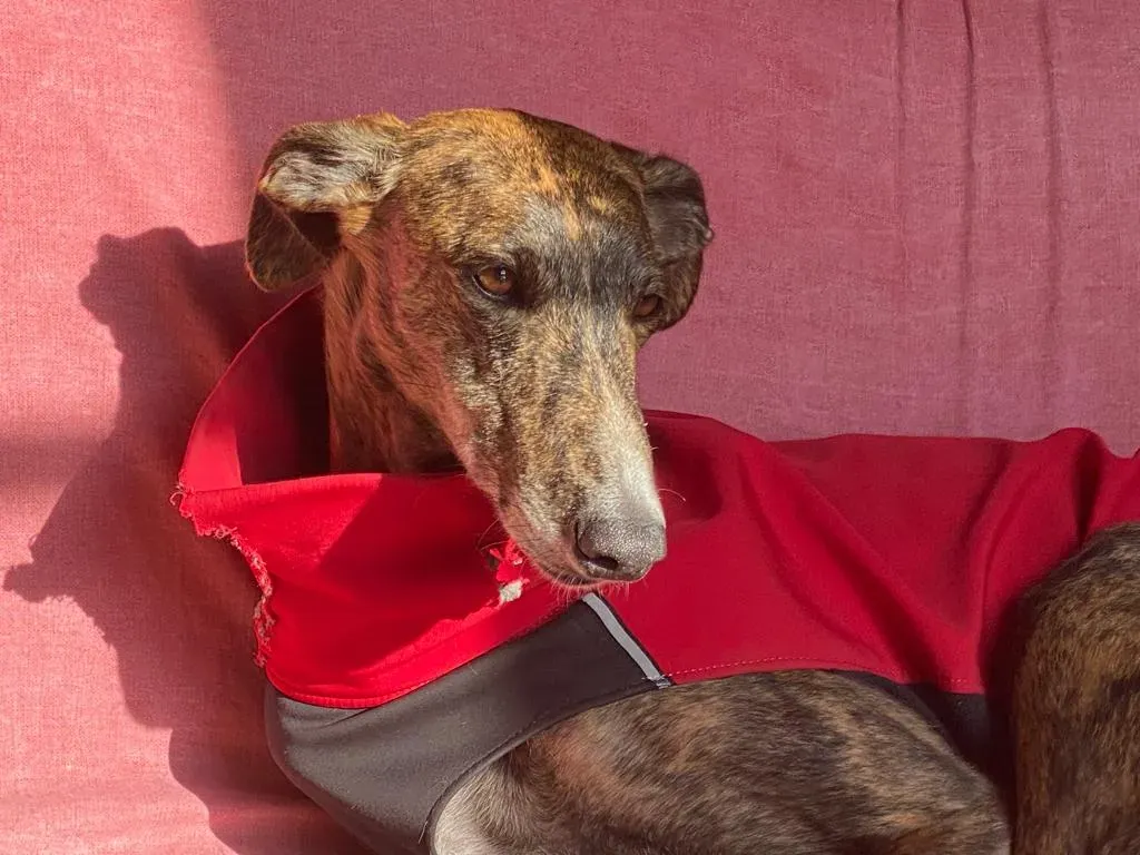 7c0e49ad 5cb1 49cd 8c4d 1a6d23d1d6fb