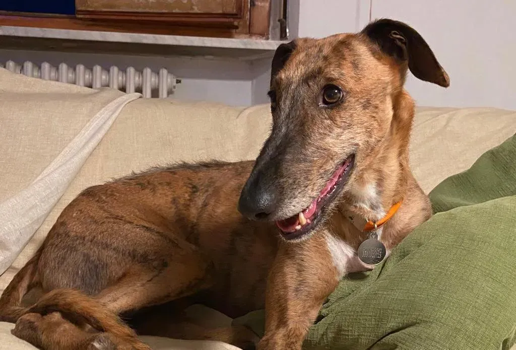 7c8023a4 03b7 4903 a2e3 03ad32e7dd35