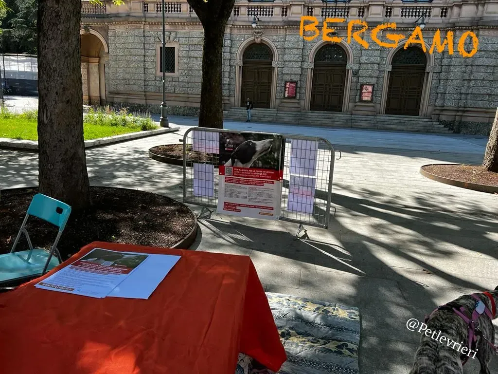 7d95f36a 0cf5 4221 8acb 896795a98156 risultato