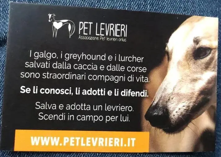 80643142 2670178346399337 2624515825796644864 n